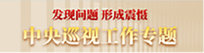 中央巡視工作專題